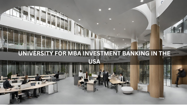 University For MBA Investment Banking in the USA